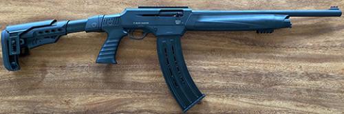 CELIK ARMS PB12M